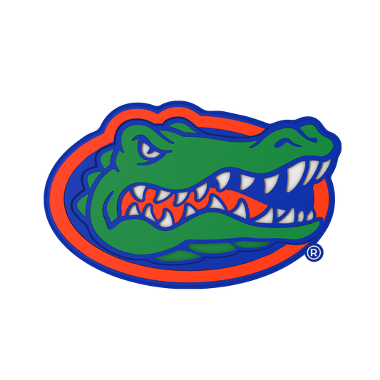 Budz | Florida Gators image 1