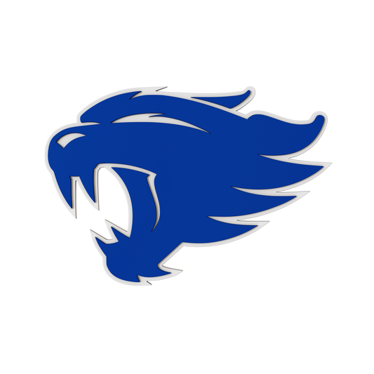 Budz | Kentucky Wildcats image 1