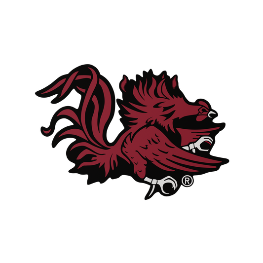 Budz | South Carolina Gamecocks image 1